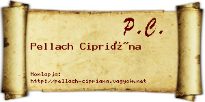 Pellach Cipriána névjegykártya